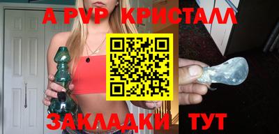 шишки Камышлов