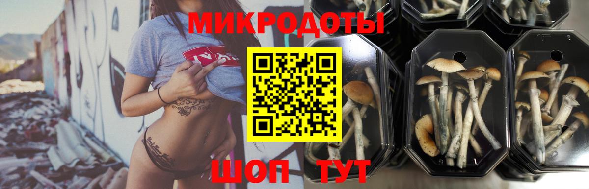 Кудрово  где можно купить наркотик  Вход с VPN  Псилоцибиновые грибы MAGIC MUSHROOMS 